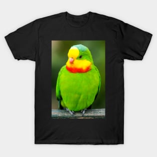 Superb Parrot T-Shirt